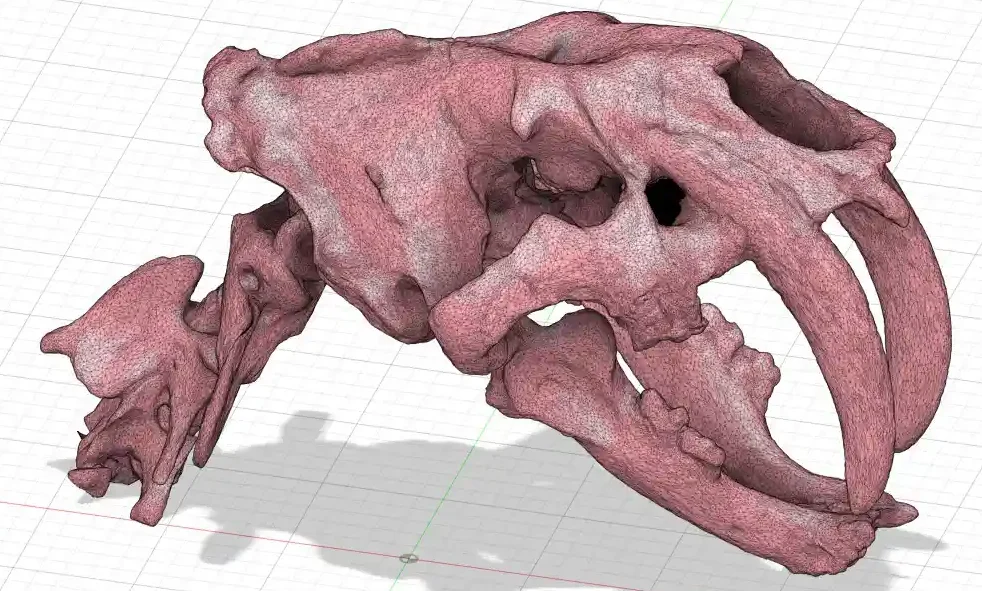 Esqueleto Diseño Modelado Estético Ingeniería Inversa Herramientas personalizadas industriales ARIST3D Manufactura aditiva Impresion 3D Valencia España